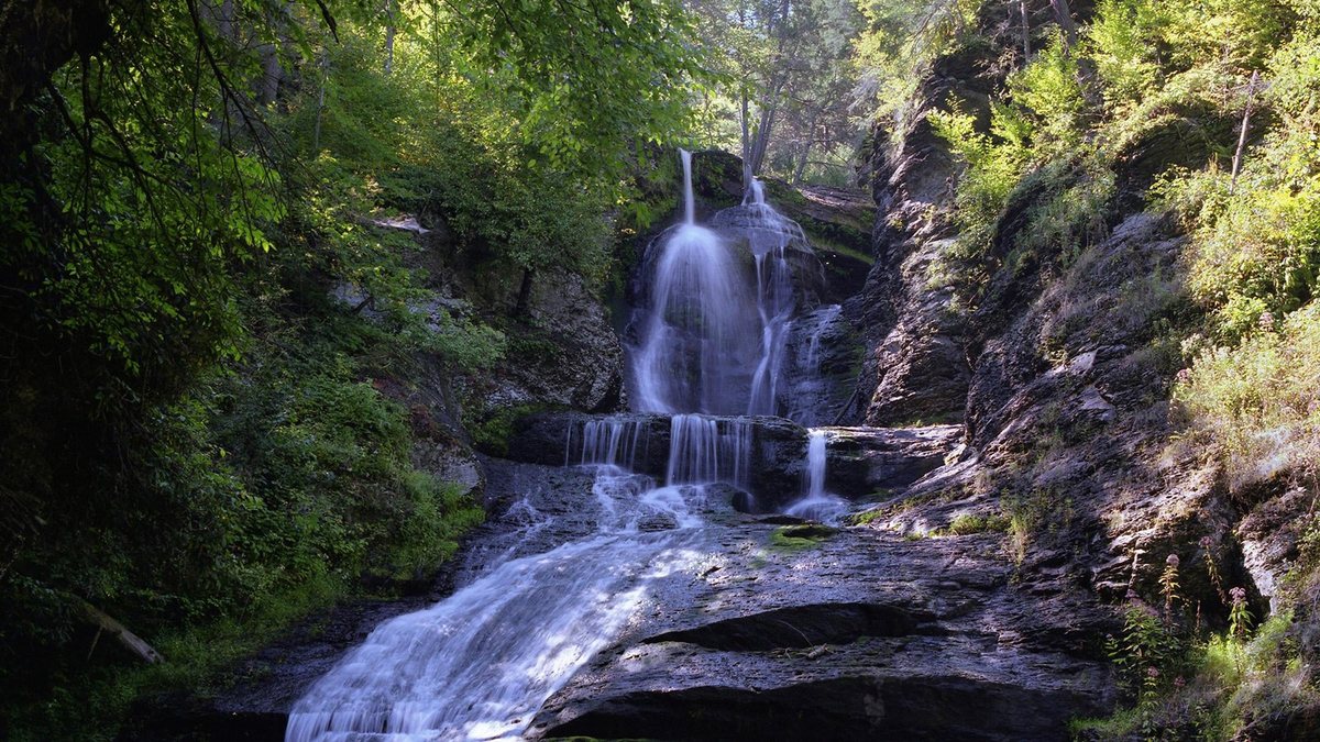 Dingmans Falls dropping through a forested rocky ravine.